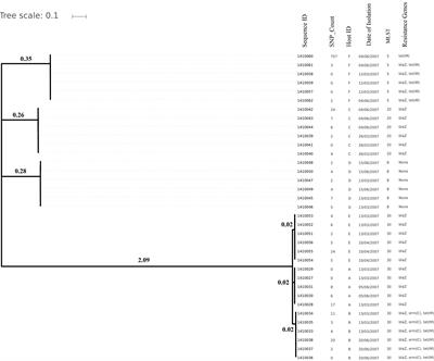 Genomic Evolution of Staphylococcus aureus During Artificial and Natural Colonization of the Human Nose